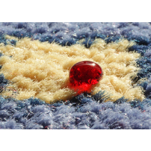 nanoprofi&reg; Textil 20 Liter